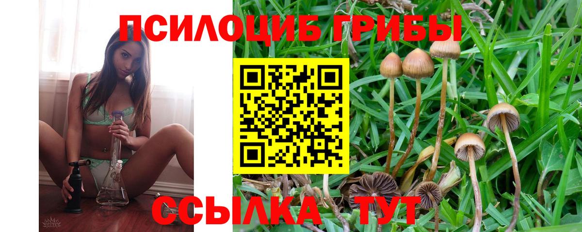 Рассказово  Псилоцибиновые грибы MAGIC MUSHROOMS  Вход с VPN  Галлюциногенные грибы Magic Shrooms 